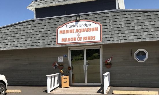 Stanley Bridge Marine Aquarium Manor of Birds and Gift Shop