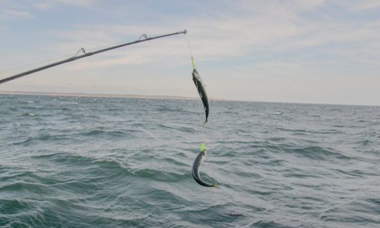 aidens deep sea fishing