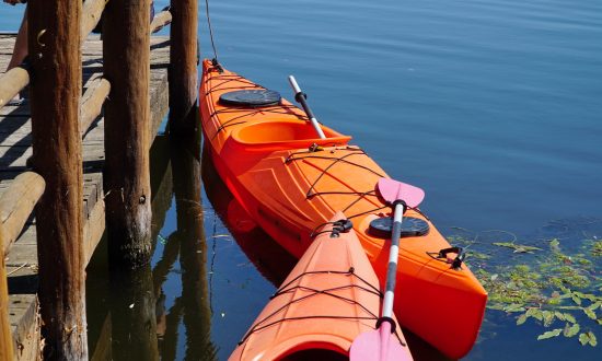 two bright kayaks moored to the shore on the water.